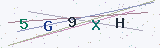 Security Captcha